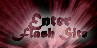 Enter Flash site